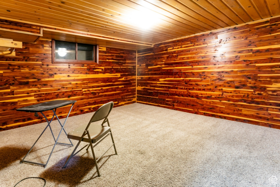 Finished below grade area with carpet flooring, wooden ceiling, and wood walls
