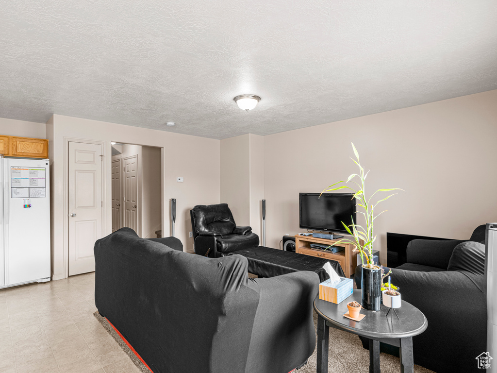 Living room featuring a textured ceiling