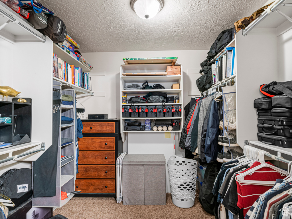 Walk in closet with carpet flooring
