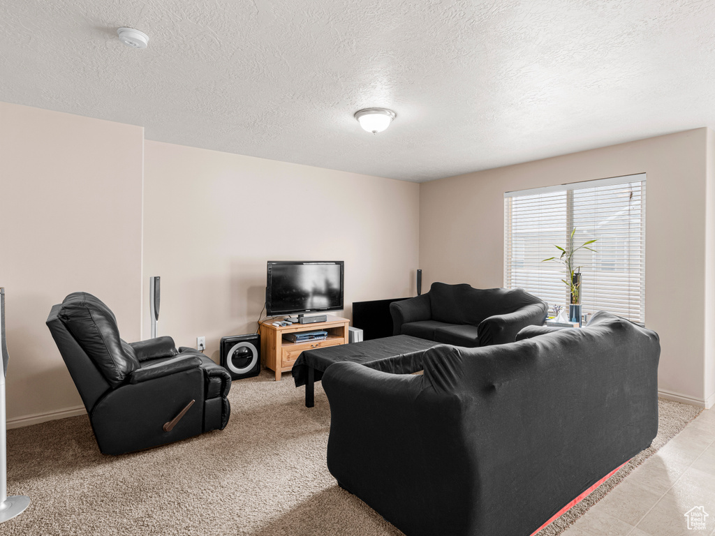 Living room with a textured ceiling, light colored carpet, and baseboards