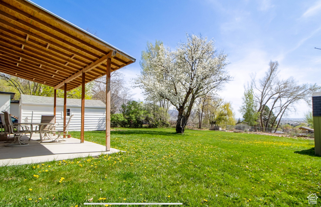 View of yard with a patio area