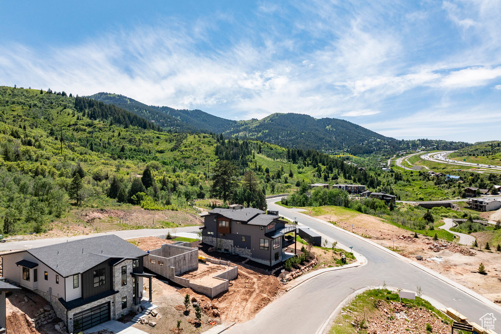 Bird's eye view of a mountainous background and a forest