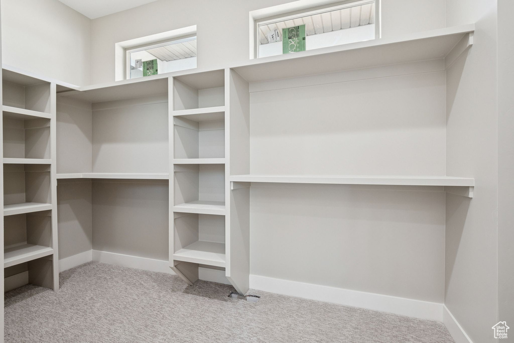 Spacious closet featuring carpet floors