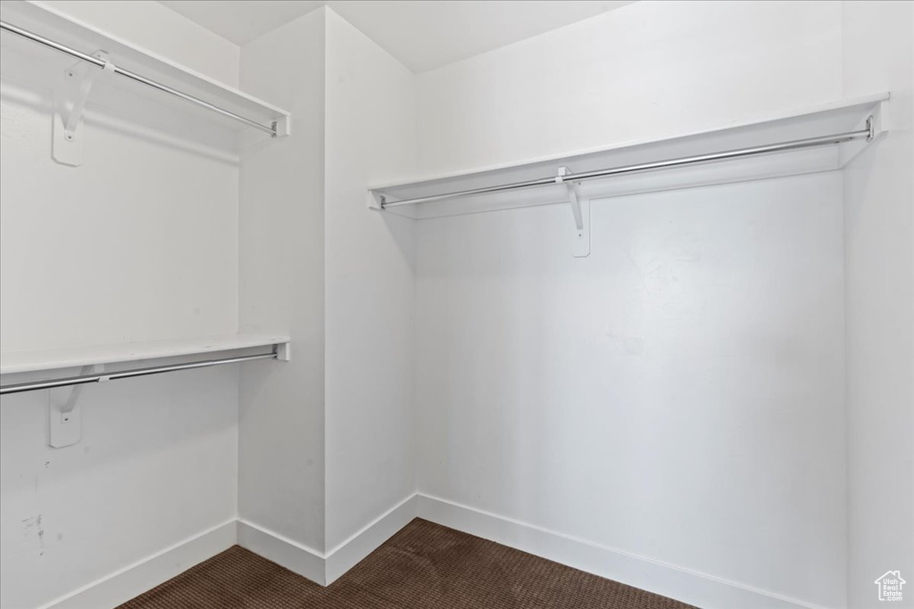 Walk in closet with dark carpet