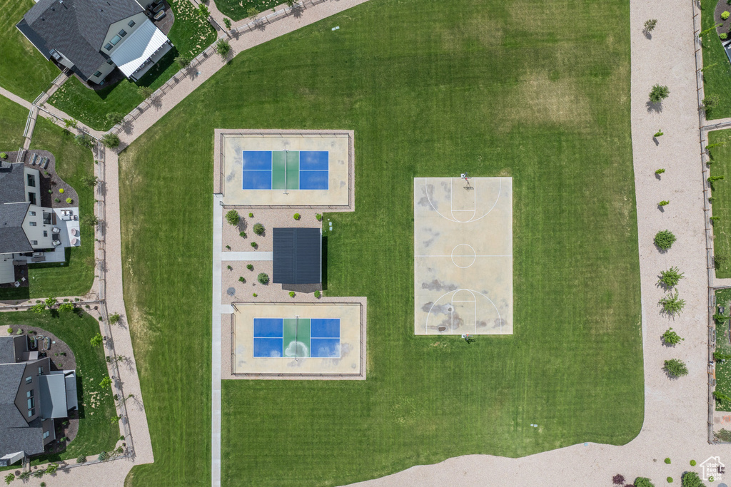 Bird\'s eye view
