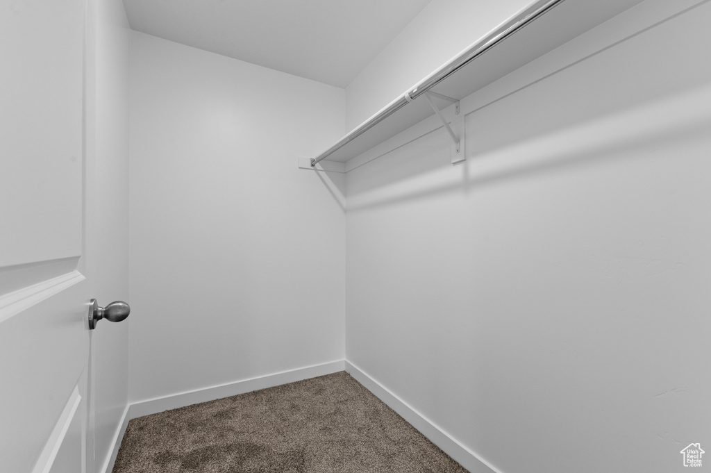 Walk in closet with carpet flooring