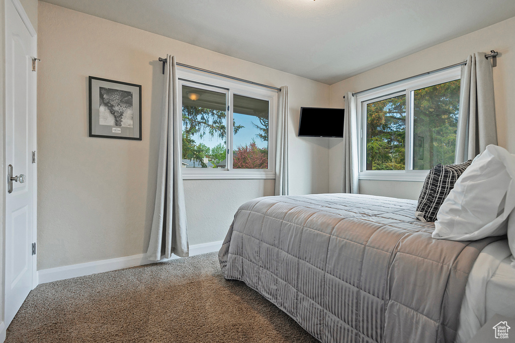Bedroom featuring baseboards and carpet flooring