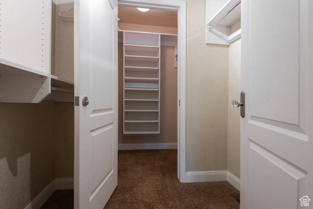 Spacious closet featuring carpet flooring