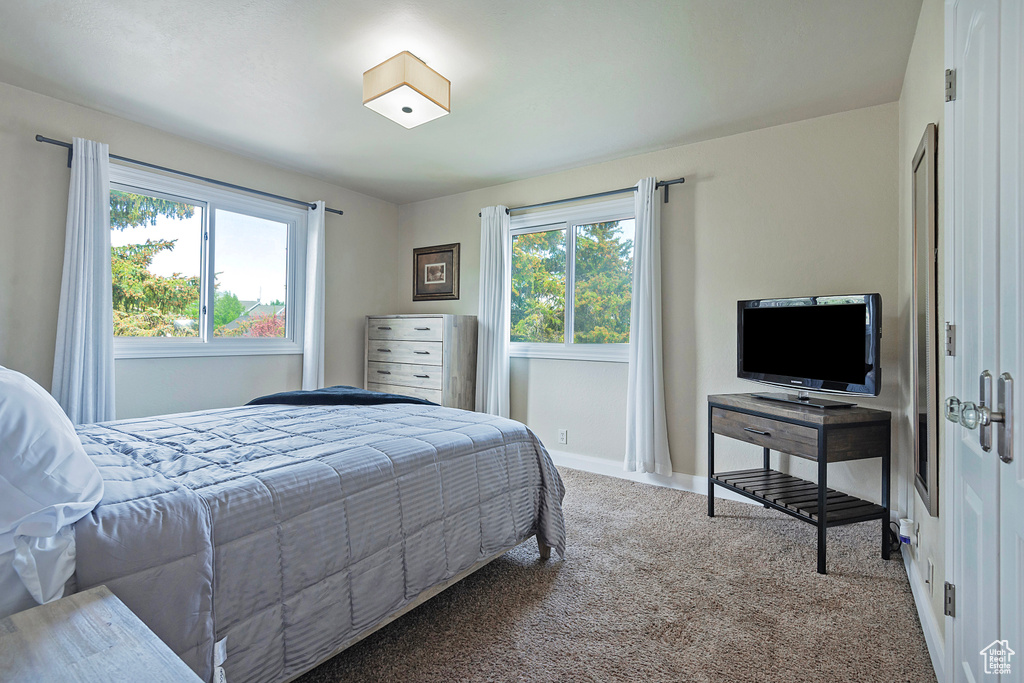 Carpeted bedroom with baseboards