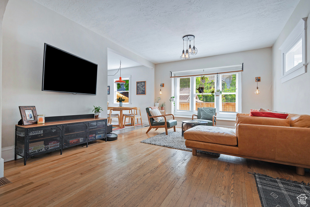 Living room featuring wood-type flooring, plenty of natural light, and a textured ceiling