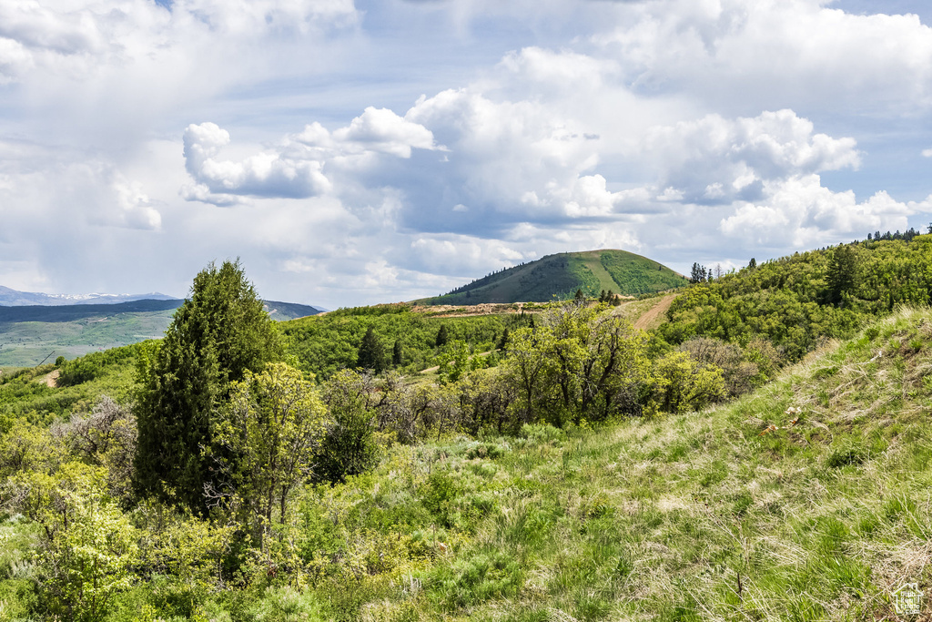 View of mountain background