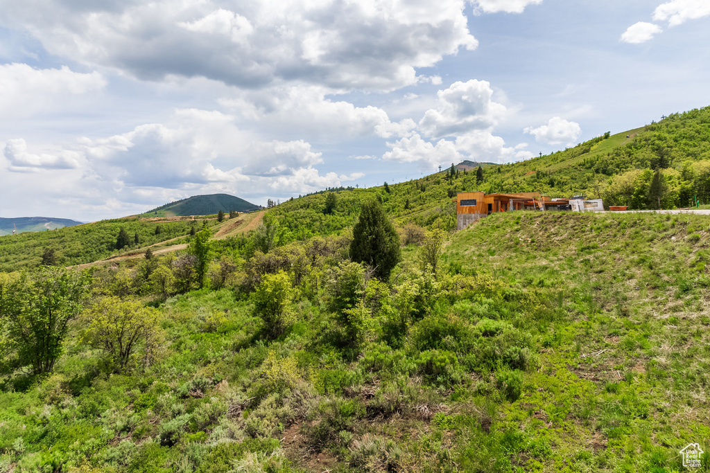 View of mountain background