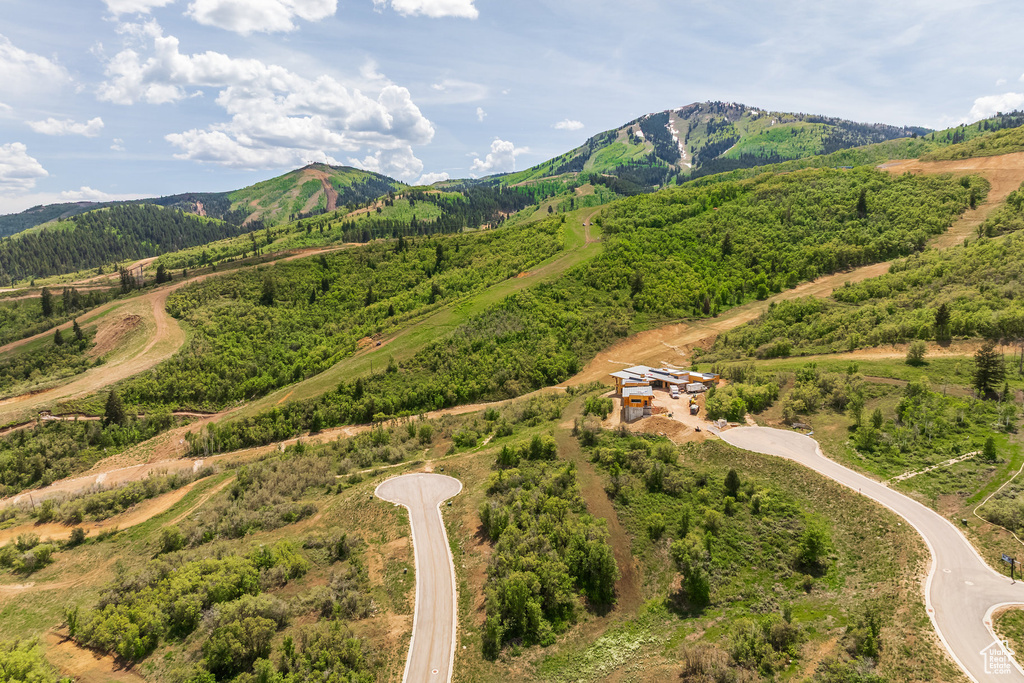 Bird's eye view of mountains