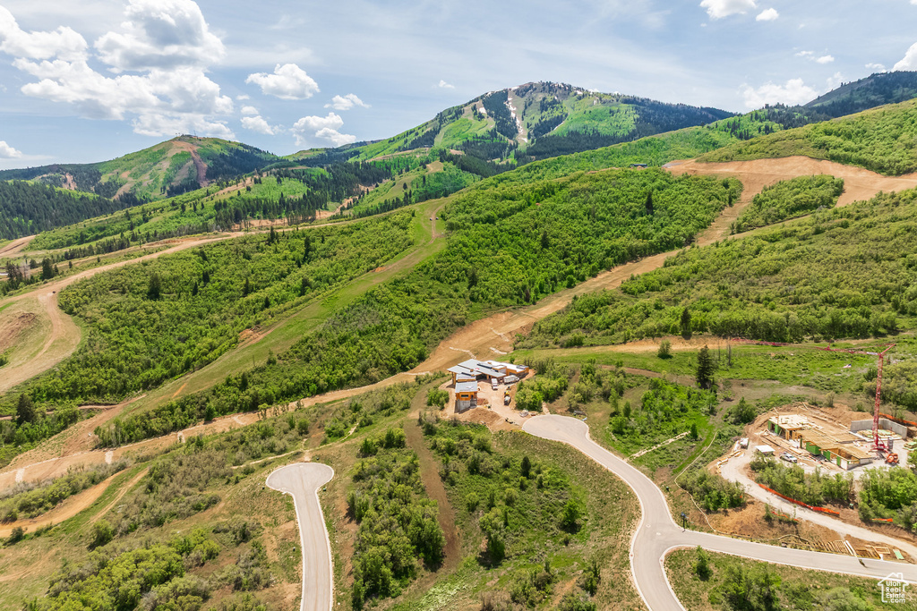 Drone / aerial view of mountains