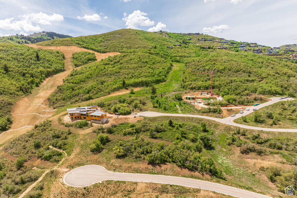 Drone / aerial view of mountains