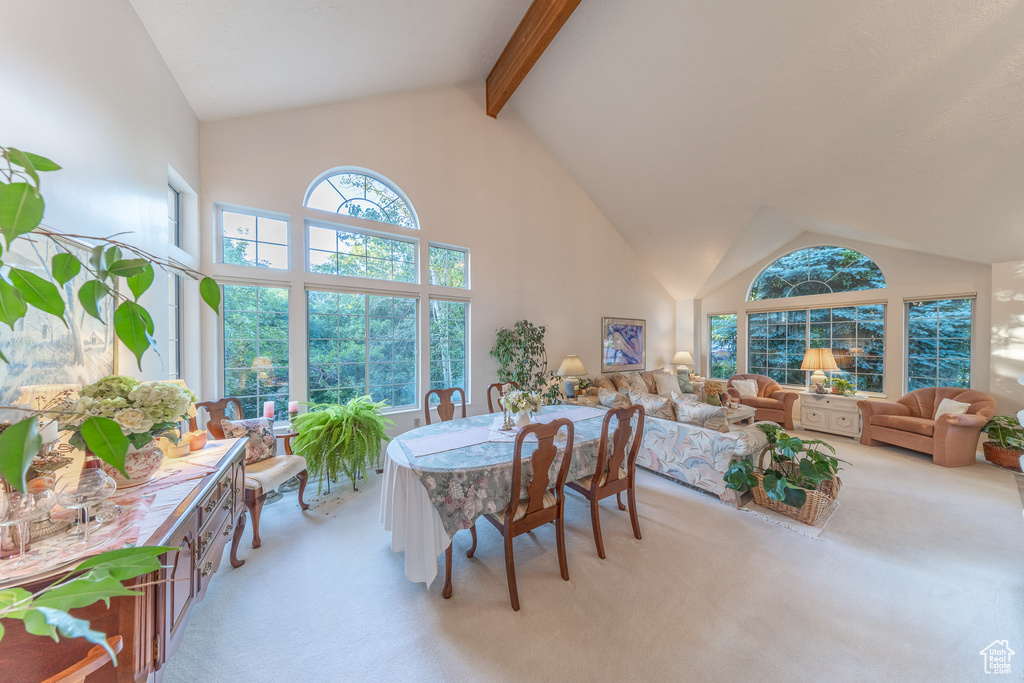 Dining room featuring light colored carpet, high vaulted ceiling, and beamed ceiling