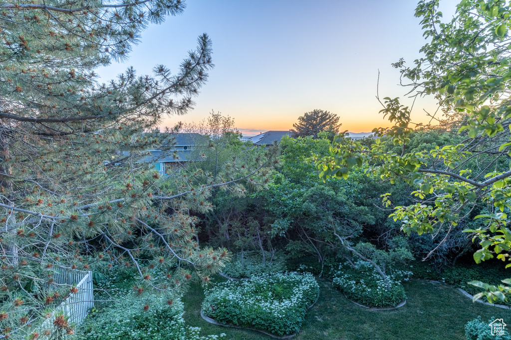 View of nature at dusk