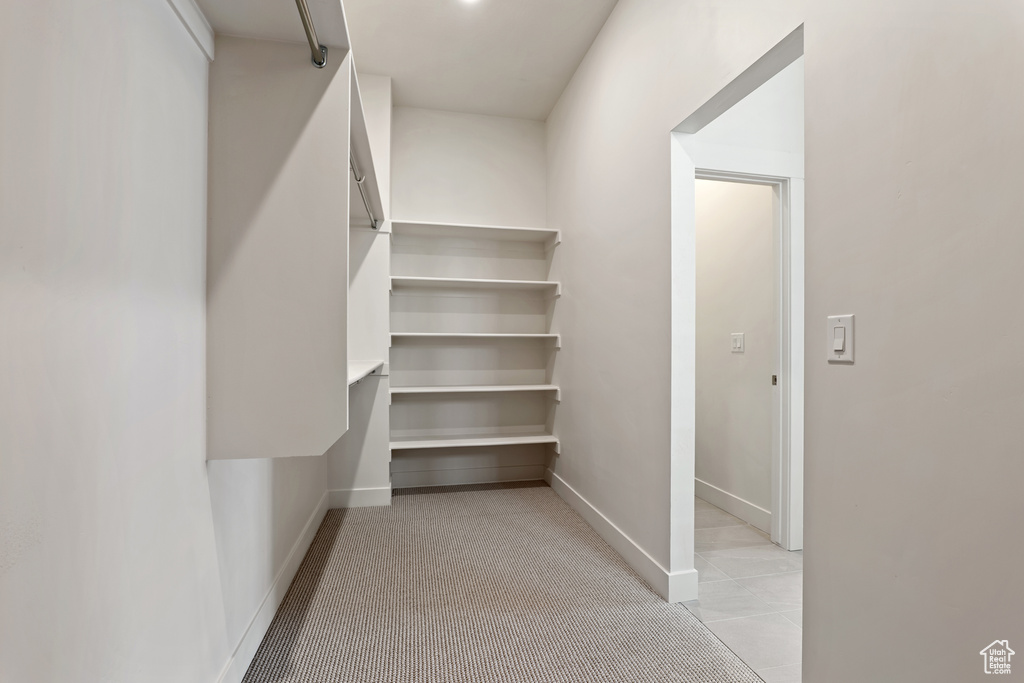 Walk in closet with light carpet