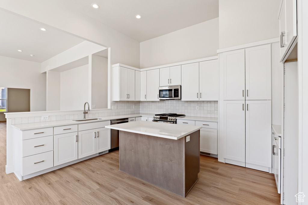 Kitchen with a sink, stainless steel appliances, backsplash, light wood-style flooring, and recessed lighting