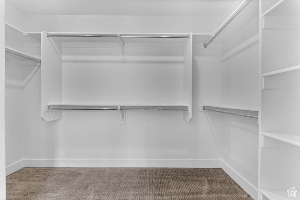 Spacious closet featuring carpet flooring
