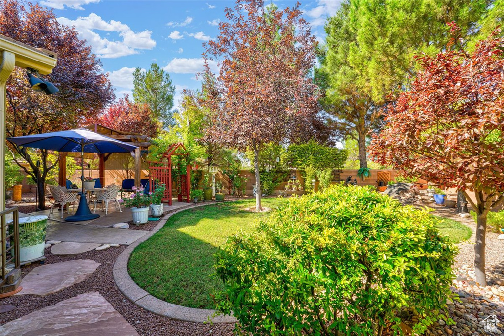 View of yard with a patio