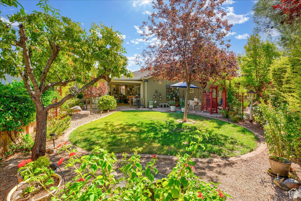 View of yard featuring a patio area