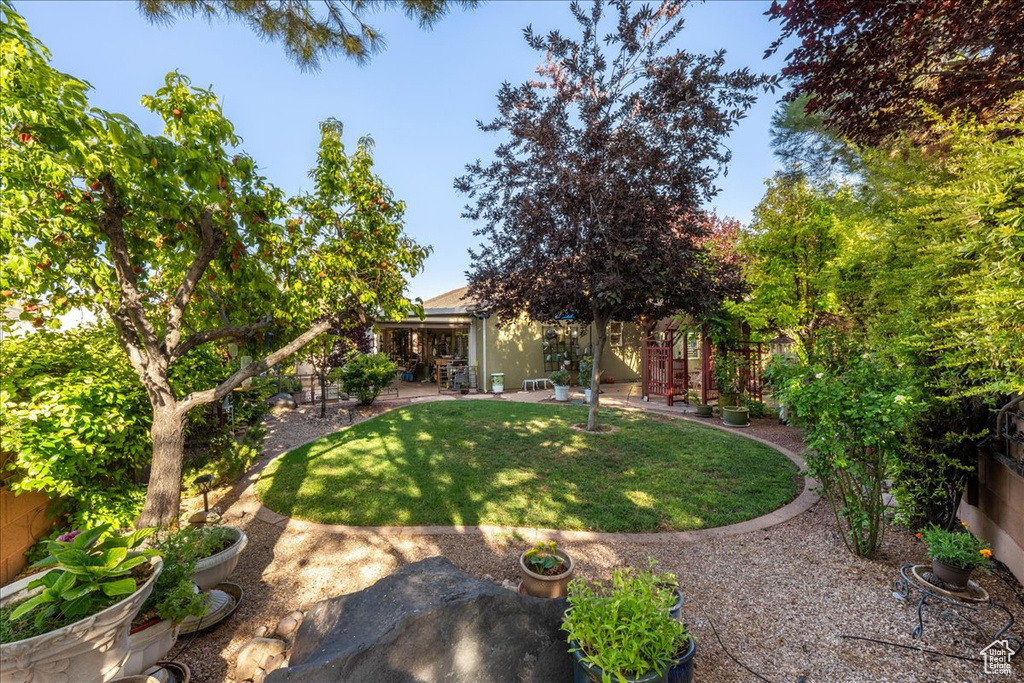 View of grassy yard featuring a patio area