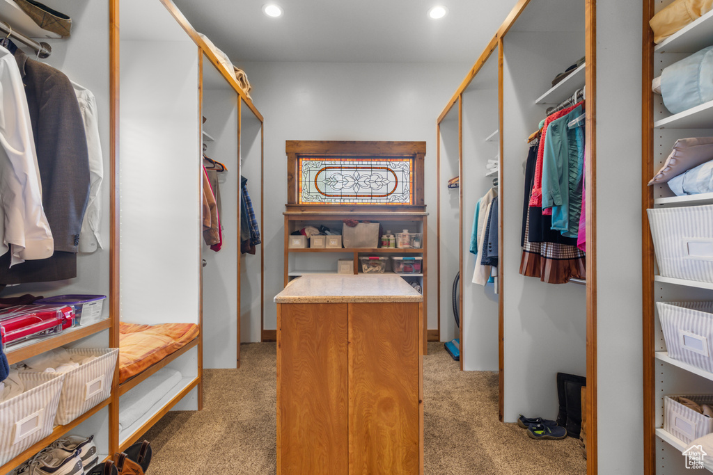 Spacious closet featuring light carpet