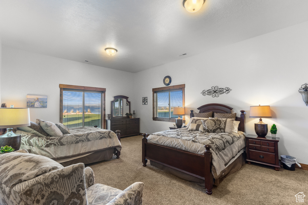 Bedroom with carpet floors