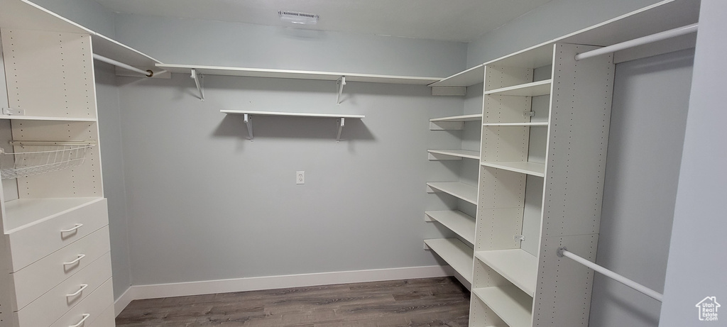 Walk in closet featuring dark wood-type flooring