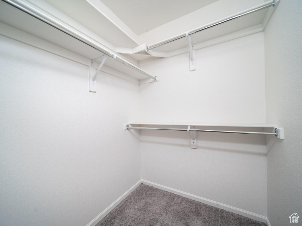 Walk in closet featuring carpet