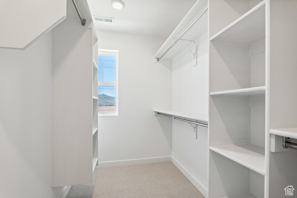 Walk in closet with light carpet