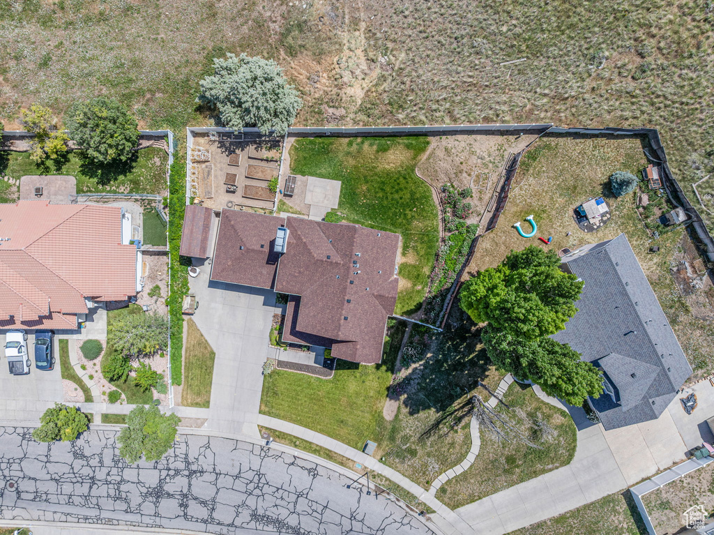 Bird\'s eye view