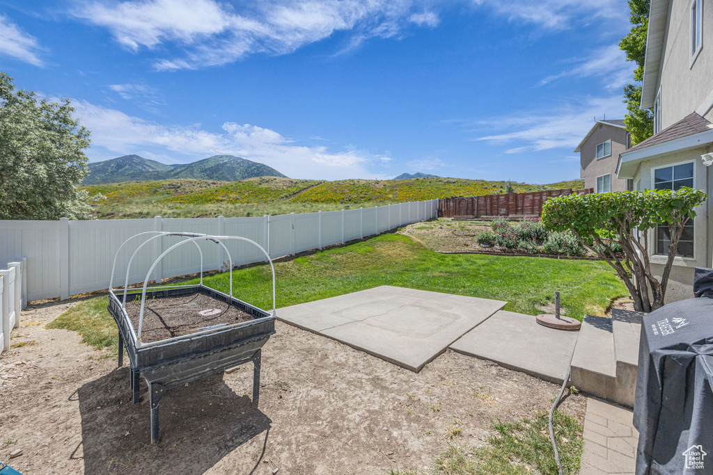 View of yard with a mountain view, a patio area, and a vegetable garden
