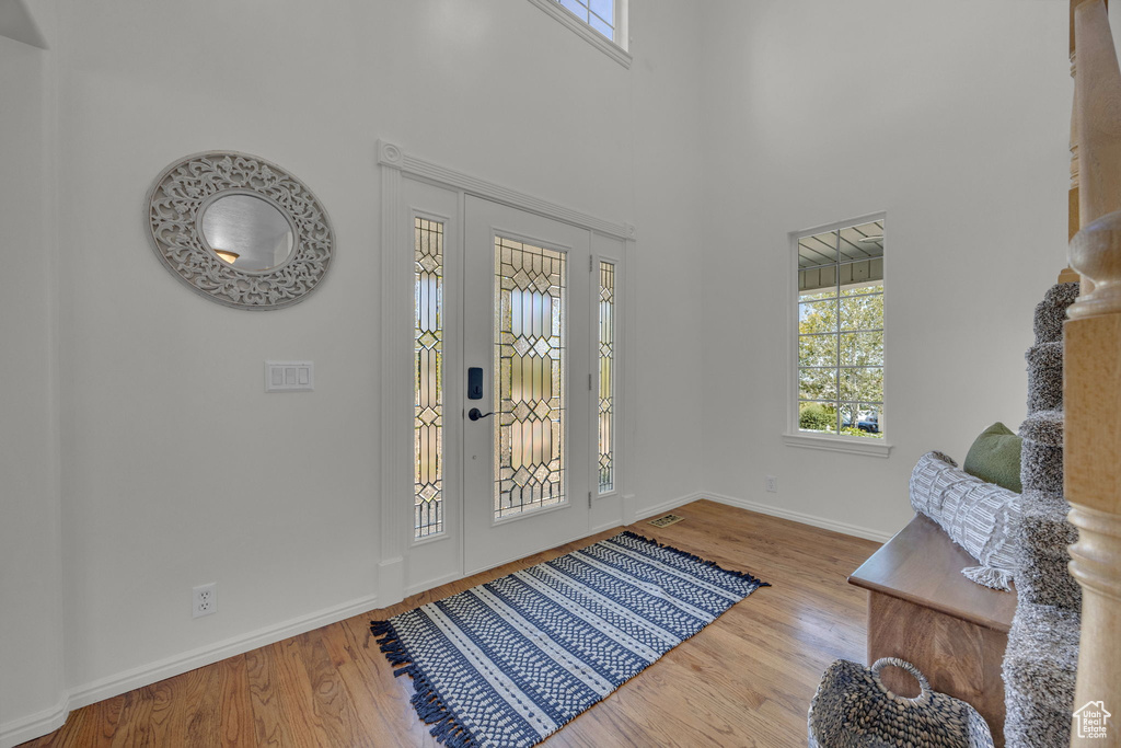 Foyer entrance featuring healthy amount of natural light, wood finished floors, baseboards, and a high ceiling