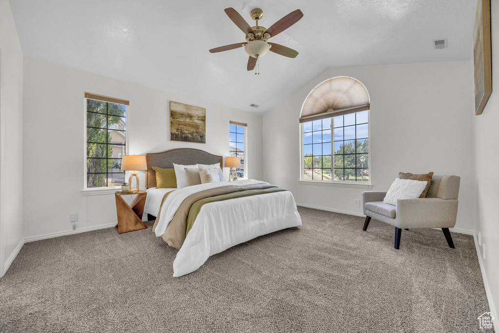 Carpeted bedroom featuring multiple windows, lofted ceiling, baseboards, and a ceiling fan