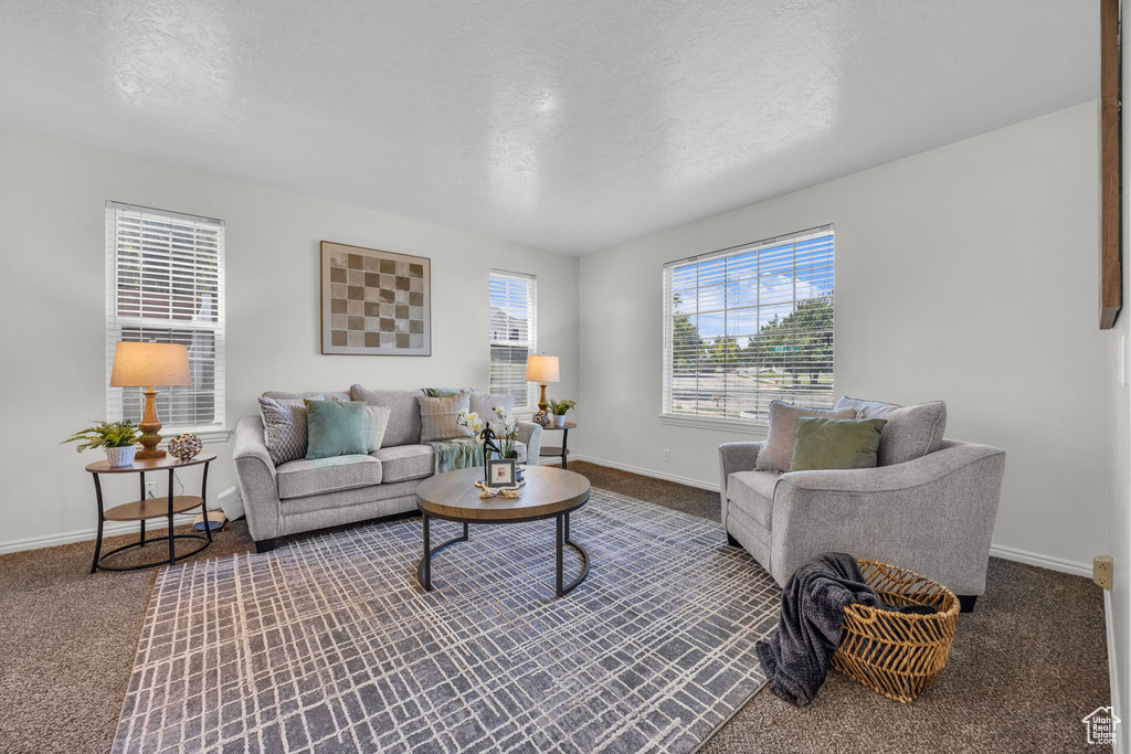 Living room with baseboards, dark colored carpet, and a textured ceiling