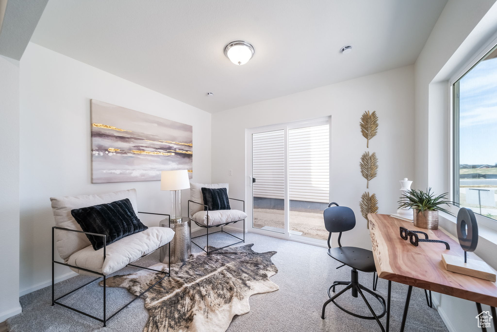 Office space featuring carpet flooring and baseboards