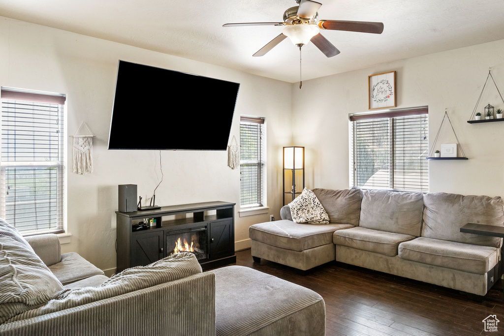 Living room with dark wood-style floors, a ceiling fan, and a glass covered fireplace