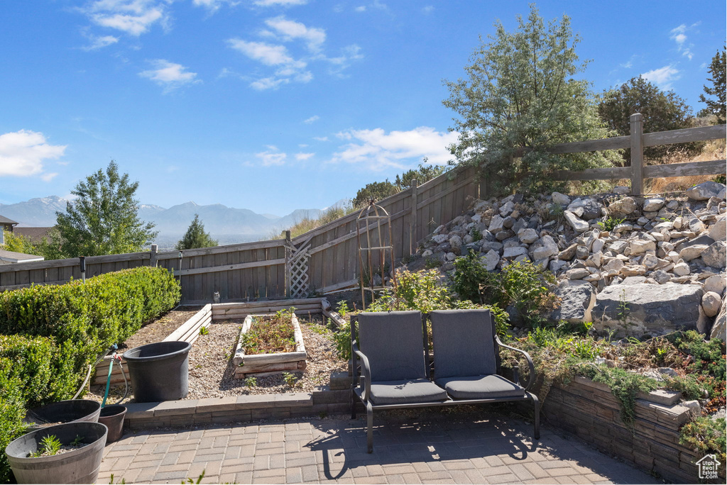 Fenced backyard with a patio area, a garden, and a mountain view