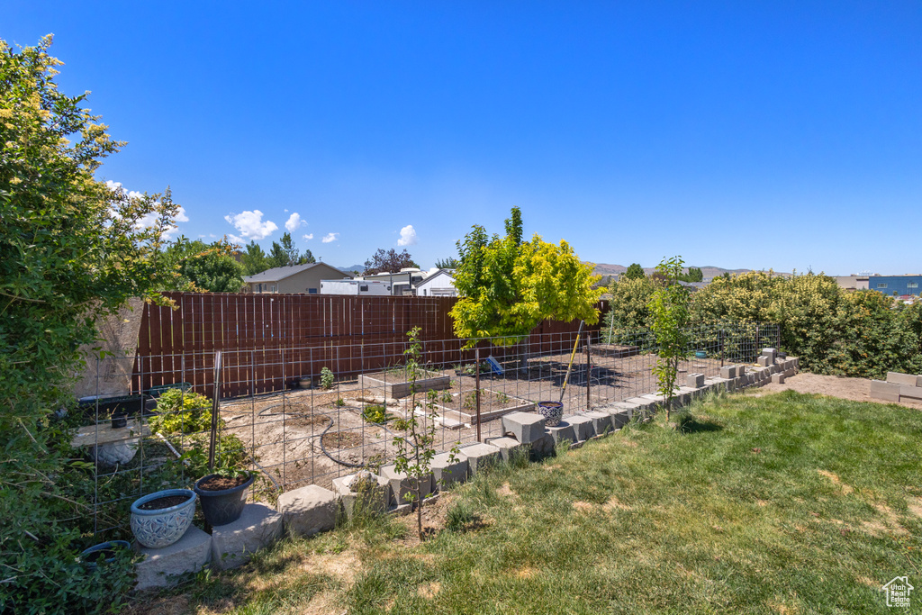 View of yard with a vegetable garden