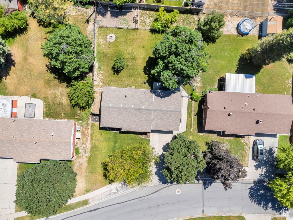 Bird\'s eye view