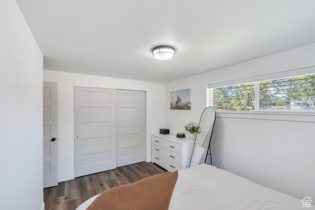 Bedroom with dark wood-type flooring and a closet
