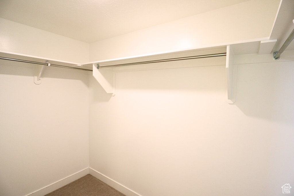 Walk in closet with carpet