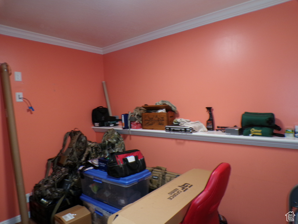 Miscellaneous room with ornamental molding