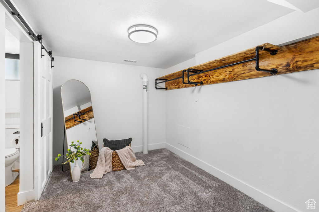 Spacious closet with a barn door and carpet flooring