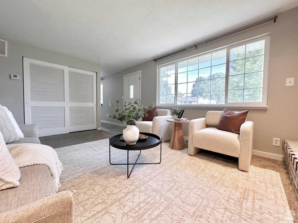 Carpeted living room featuring baseboards and a textured ceiling