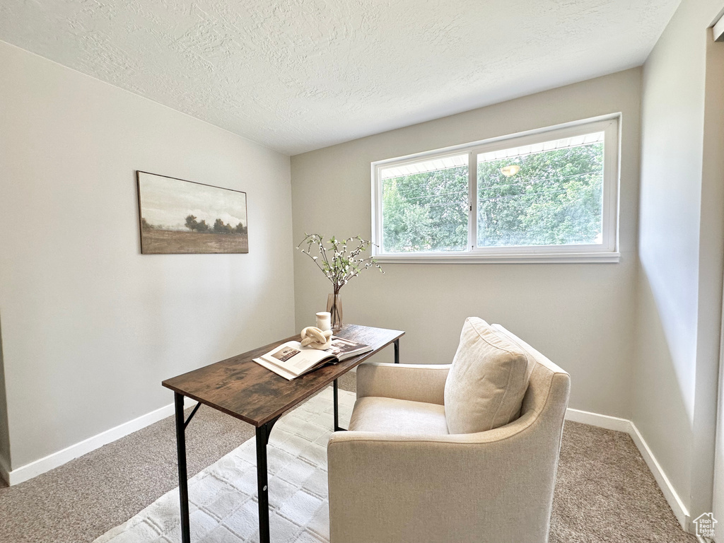 Carpeted office featuring baseboards and a textured ceiling