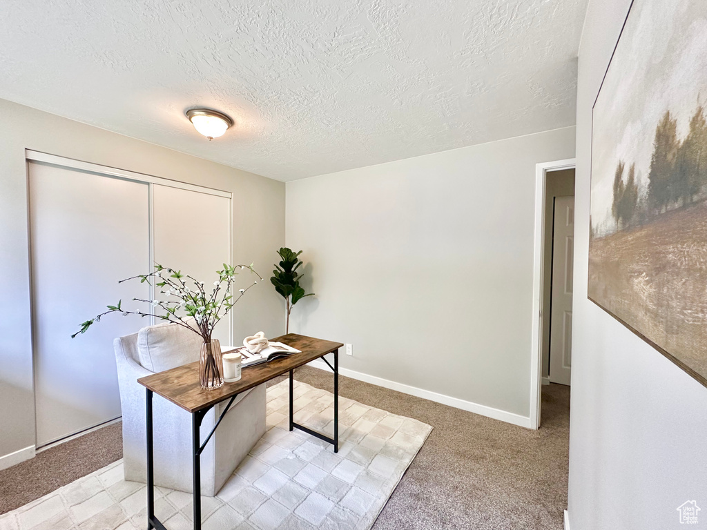 Home office with light carpet, baseboards, and a textured ceiling