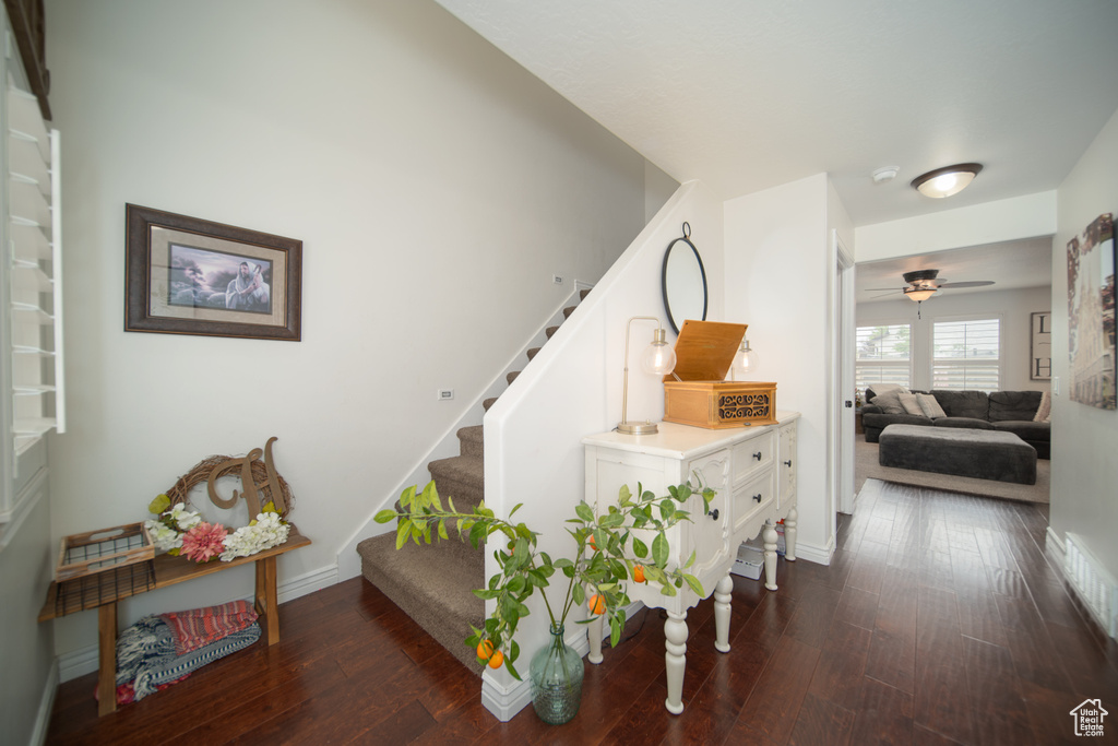 Stairs featuring wood finished floors, ceiling fan, and baseboards